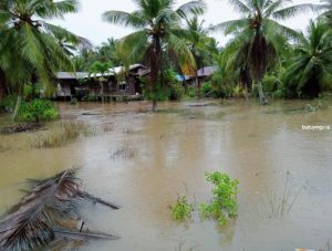 Bantu Petani, Pemkab Karimun Siapkan Bibit Pertanian