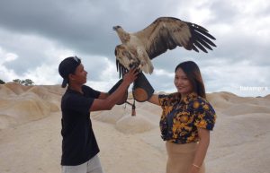Wisatawan Bisa Foto Bareng Burung Elang di Gurun Pasir Telaga Biru, Bintan