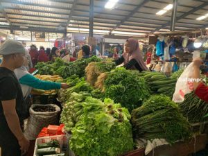 Harga Sayur Bayam Melejit Hingga Rp 28 Ribu Per Kg