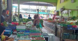 Faktor Cuaca sangat Menentukan Harga Sayur di Bintan 