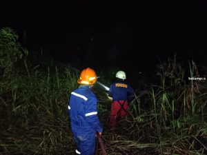 Lahan Kosong di Desa Teluk Sasah Terbakar, Api Nyaris Merembet ke Rumah Warga