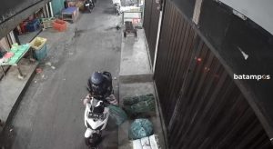 Pengendara Motor Nekat Curi 13 Kg Cabai di Pasar, Aksinya Terekam CCTV