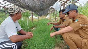 Dorong Petani Bintan Tanam Bawang untuk Turunkan Inflasi