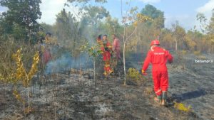 Sepekan, Tim Damkar Karimun Tangani Belasan Lokasi Kebakaran Lahan