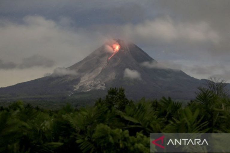 Muncul 2 Kubah Lava, Erupsi Gunung Merapi Berpotensi Kian Meluas