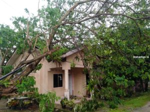 Tertimpa Pohon Tumbang, Rumah Warga di TMK Rusak Parah