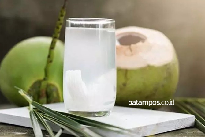 Kelapa Muda, Si Hijau yang Laris Manis di Bulan Puasa