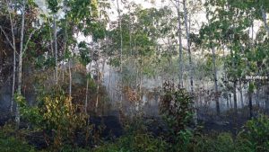 Lahan Kosong dan Karet di Pulau Kundur Terbakar