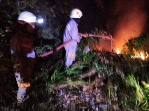 Kebakaran di Desa Teluk Sasah Hanguskan 1 Hektare Lahan