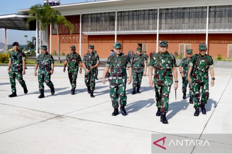 Panglima TNI Terapkan Operasi Siaga Tempur di Daerah Rawan Papua