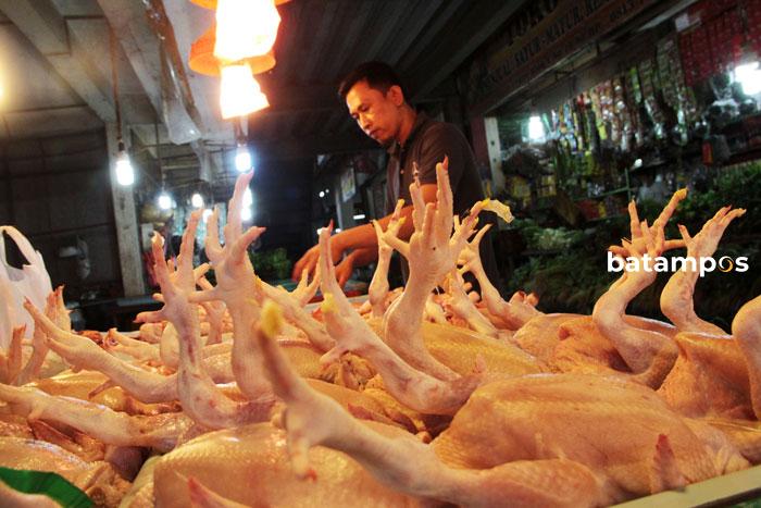 Tekan Harga, Disperindang Pasok Daging Ayam Potong Dari Luar Daerah