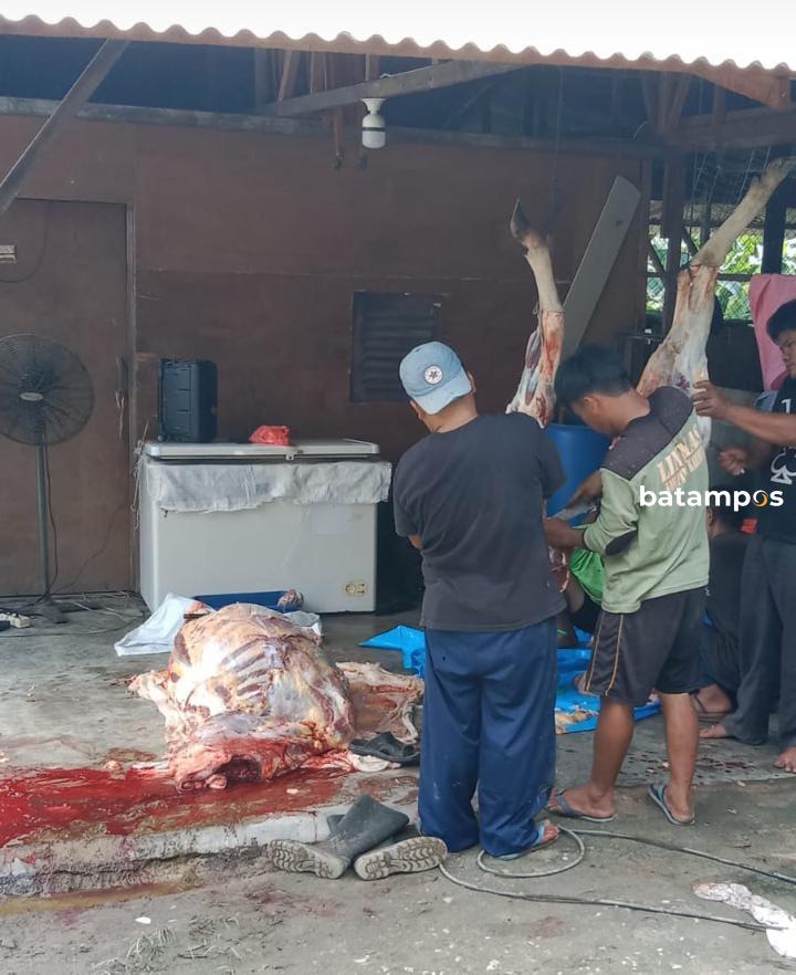 Harga Daging Segar Naik, TPID Ajak Peternak Jual Daging Segar