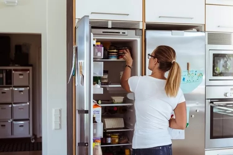Tips Menyimpan Makanan Sebelum Mudik, Masak Semua Bahan Segar Agar Tak Terbuang Sia-sia