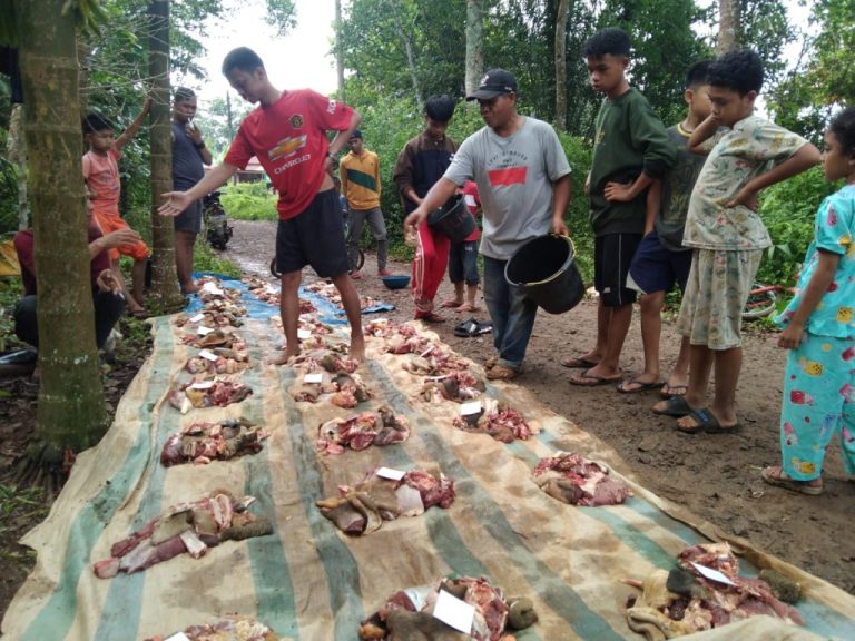 Tradisi Bantai Sapi Menjelang Lebaran di Tapanuli Selatan