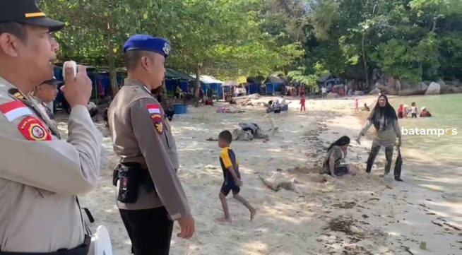 Ubur-Ubur Muncul di Pantai Trikora, Bintan