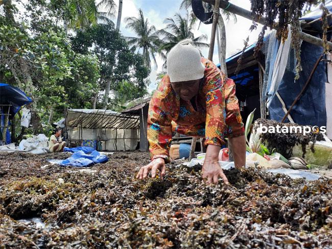 Melihat Pejuang Rengkam, Sumber Mata Pencaharian Nelayan Saat Musim Angin Utara
