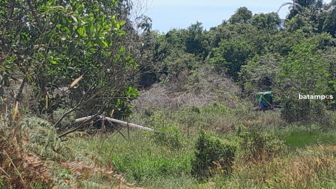 Tambang Pasir Ilegal di Bintan Diduga Beraktivitas Lagi, Polisi Cek ke Lokasi