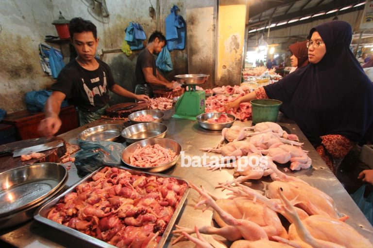 Disuplai dari Barelang, Harga Ayam Potong di Batam Masih Tinggi