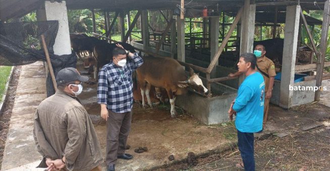 Panggil Peternak dan Pemasok untuk Bahas Kebutuhan di Idul Adha