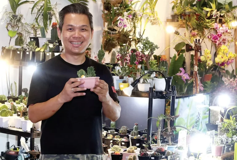 Kaktus Mini untuk Mempercantik Ruangan
