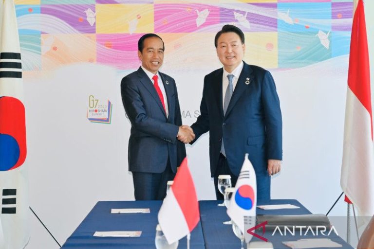 Jokowi Undang Negara-Negara G7 Investasi di IKN
