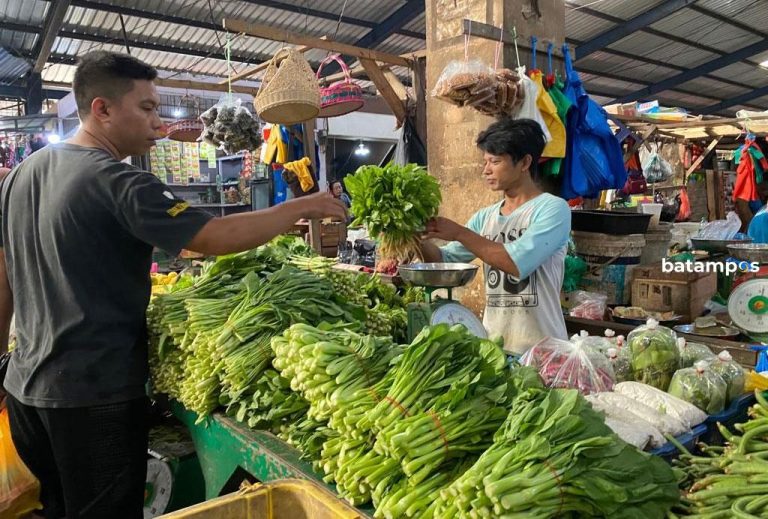 Harga Sayuran di Tanjungpinang Naik, Sawi Dijual Rp 24 Ribu per Kilo