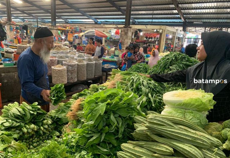 Di Tanjungpinang, Harga Sawi Masih Mahal