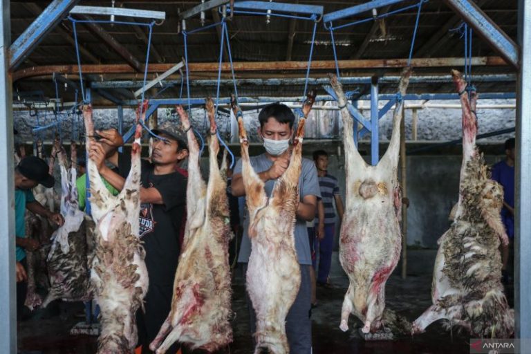 Ini Saran untuk Wanita hamil, Jangan Konsumsi Daging Kambing Berlebihan