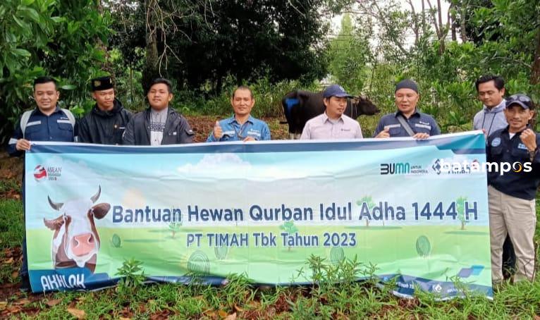 Sambut Hari Raya Idul Adha PT Timah Tbk Salurkan 200 Ekor Hewan Kurban