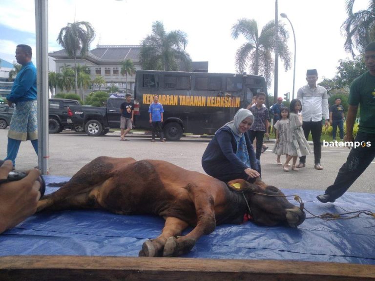 Kejaksaan Negeri Batam 500 Kantong Daging Kurban