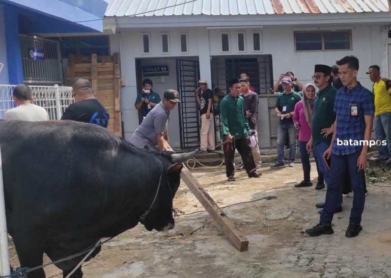 PT Synergy Tharada Berbagi Kurban ke 8 Panti Asuhan