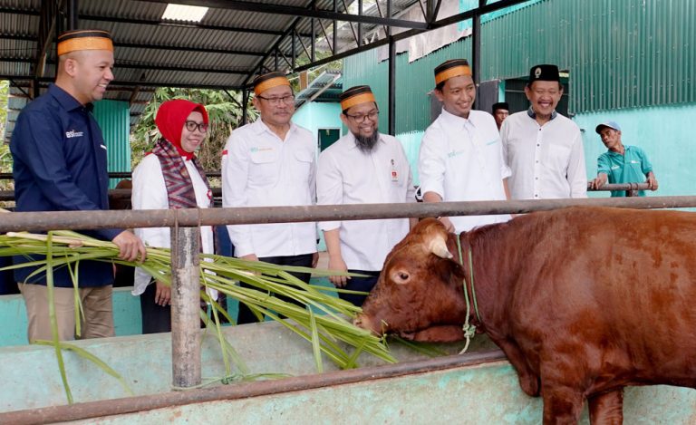 Desa Binaan, BSI Dukung Parangbanoa Angkat Potensi Peternakan Sapi Potong