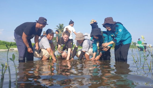 Peringati World Environment Day, Ribuan Mangrove Ditanam di Pantai Pengudang