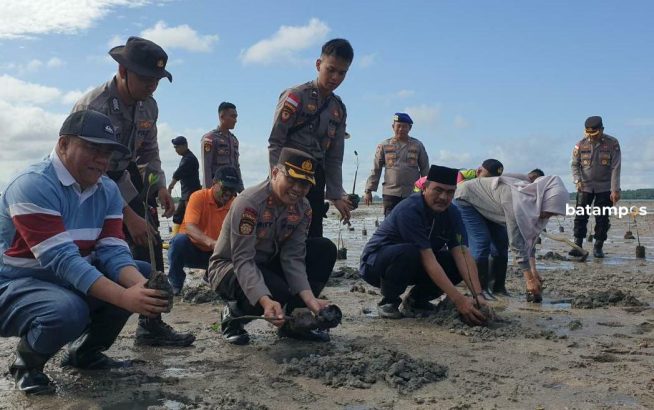 Jaga Pantai dan Ekosistem Laut, 1.000 Mangrove Ditanam di Pesisir Pantai di Desa Teluk Sasah