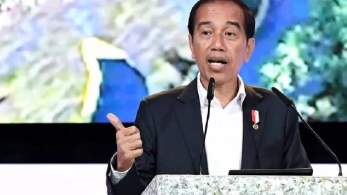 Jokowi Ingatkan Menteri Hati-hati Kelola Keuangan Negara