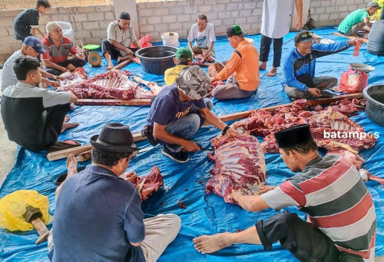 KMTK Karimun, Kurban 4 Ekor Hewan