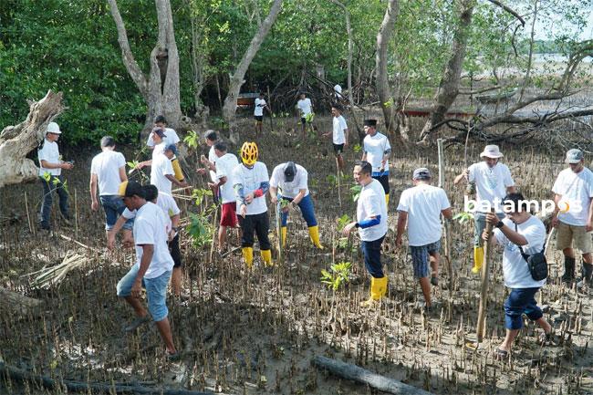 PLN Batam Tanam Bibit Mangrove dan Pungut Sampah di Desa Wisata Kampung Terih