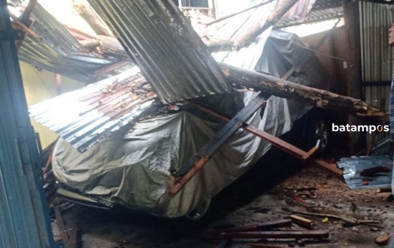 Pohon Lapuk Tumbang, Timpa Satu Unit Mini Bus