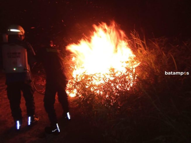 Lansia di Bintan Disengat Tawon Vespa