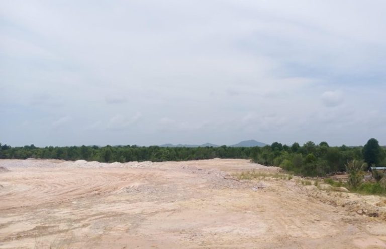 Timbun Area Hutan Bakau, Proyek di Tembesi Dikeluhkan Warga