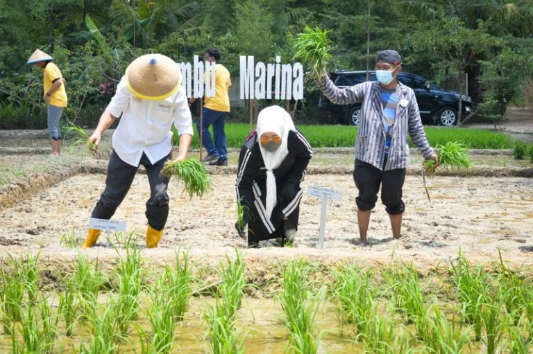 Kawasan Wisata Marina Terus Berbenah, Berharap Kembali Berjaya