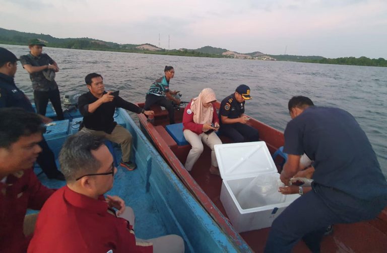 1.500 Benih Lobster Berhasil Diselamatkan