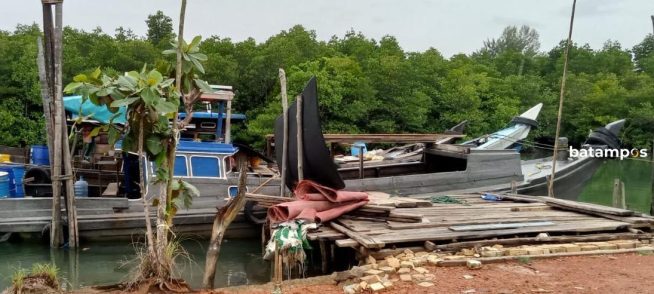 Polisi Amankan Puluhan Ekor Hewan Ternak Diduga Selundupan dari Pelalawan, Riau di Tanjunguban