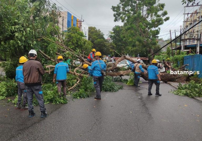 Ada Pohon Besar di Jalan Engku Putri