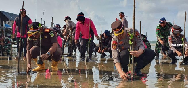 Tahan Laju Abrasi, 1.100 Bibit Mangrove Ditanam di Pantai Lohoa, Kawal