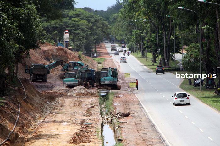Terlalu Rindang dan Rapuh, Pohon Penghijauan Dipangkas