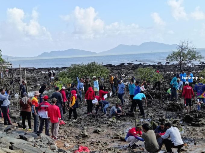 Pemkab Karimun Tanam 1.000 Bibit Pohon Mangrove
