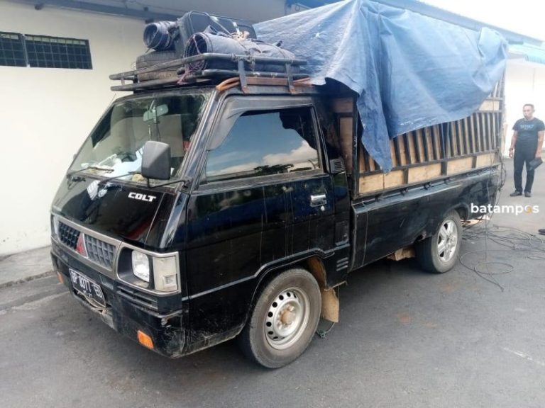 Bawa Kayu Ilegal Masuk Batam, Dua Sopir Jadi Tersangka