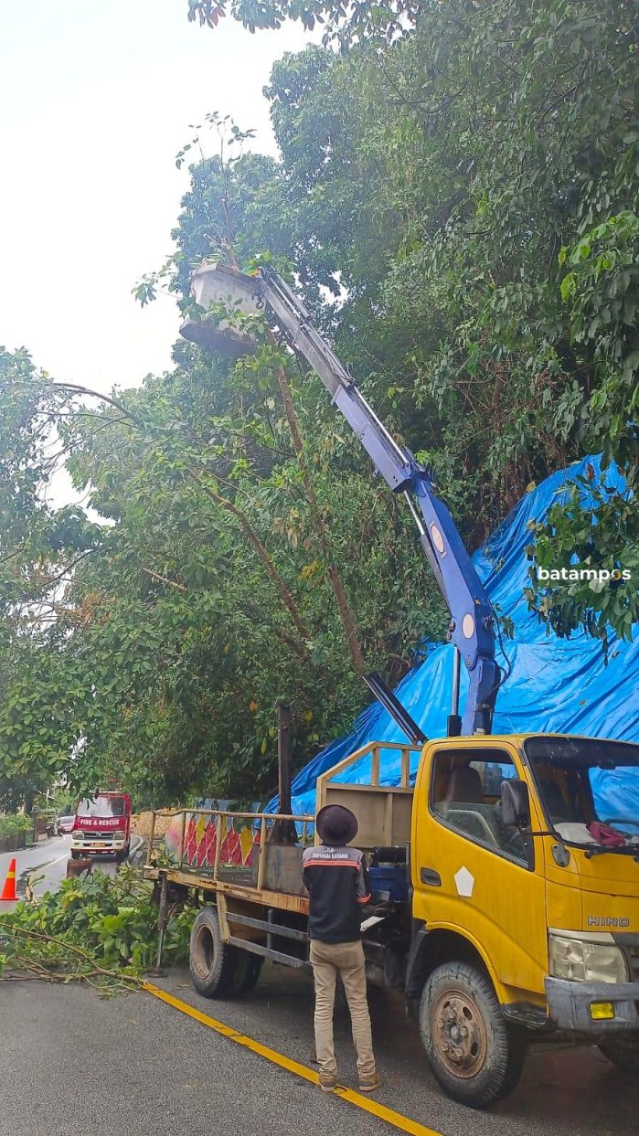 Hujan, Hutan Kota Longsor