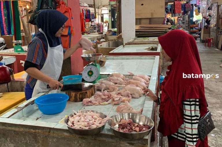 Stok Sedikit dan Ukuran Kecil, Harga Daging Ayam Naik